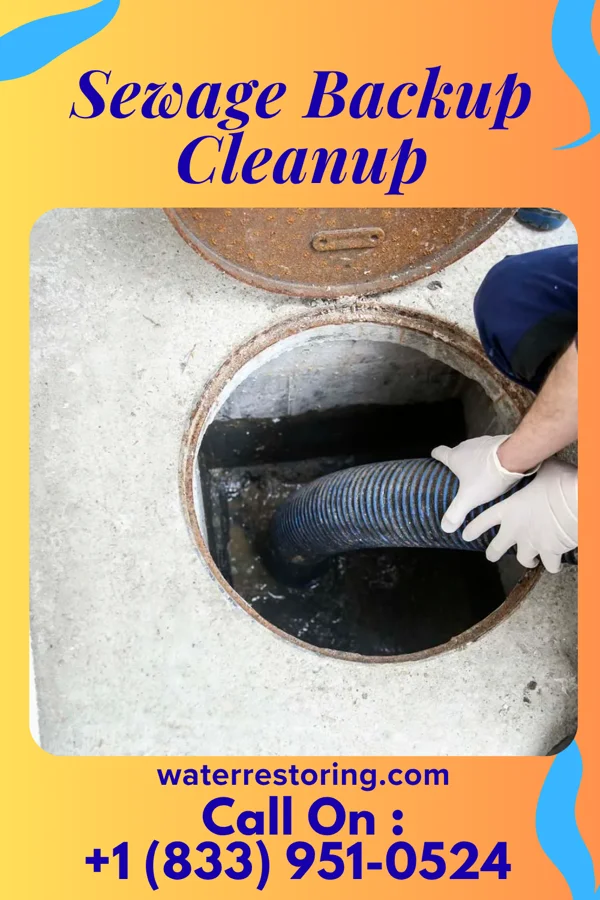 Sewage Backup Cleanup in Dahlgren Center, VA